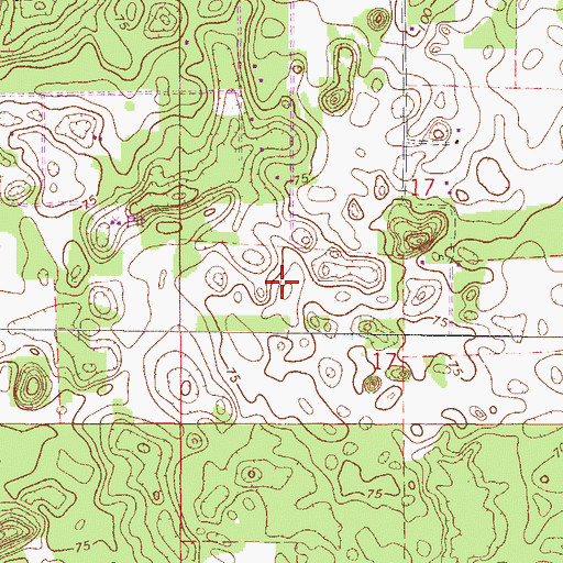 Topographic Map of Lazy S Farm Airport, FL