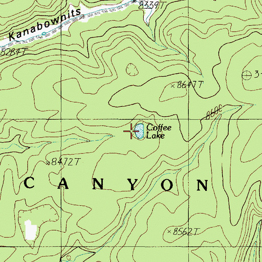 Topographic Map of Coffee Lake, AZ
