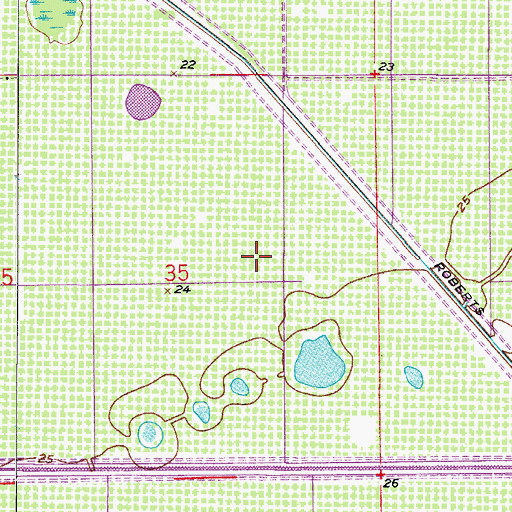 Topographic Map of Berry Grove Airport (historical), FL