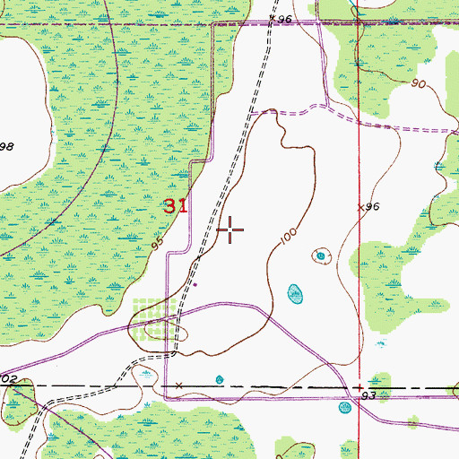 Topographic Map of Epcot Center Ultralight Airport, FL