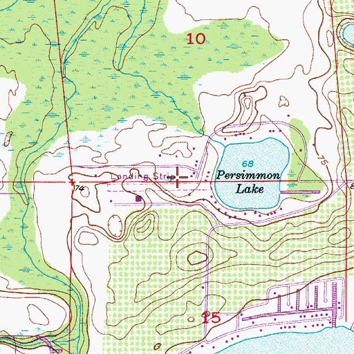 Topographic Map of Lake Persimmon Airstrip, FL