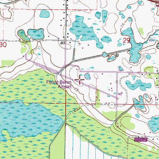 Topographic Map of Flying Baron Estates Airport, FL