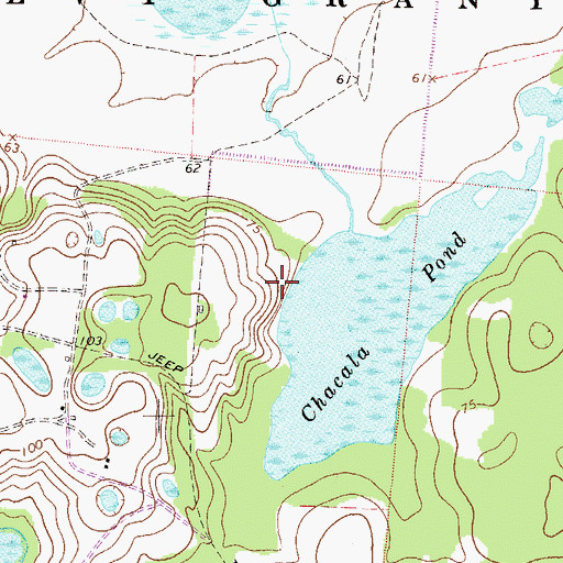 Topographic Map of Paines Prairie Heliport, FL