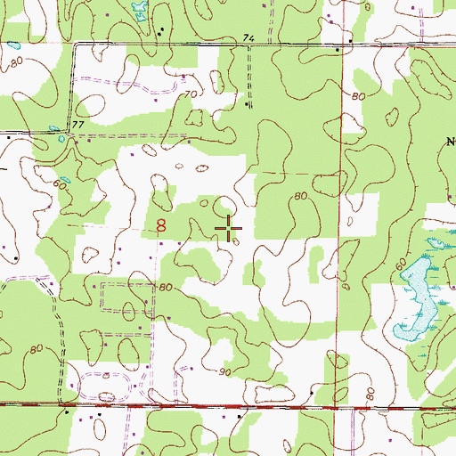 Topographic Map of Idle Wild Airport, FL