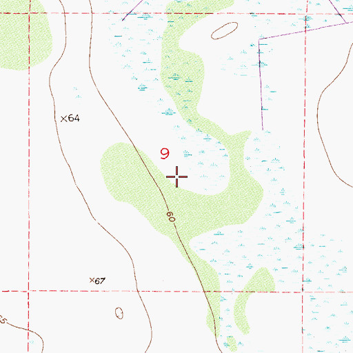 Topographic Map of Citrus Hedging Ranch Airport, FL