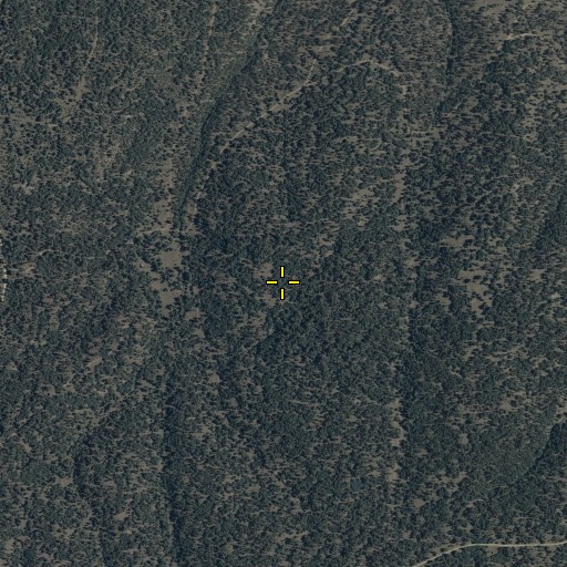 Aerial/Satellite Image of Limestone Pasture, AZ