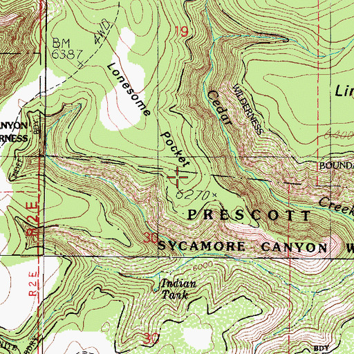 Topographic Map of Lonesome Pocket, AZ