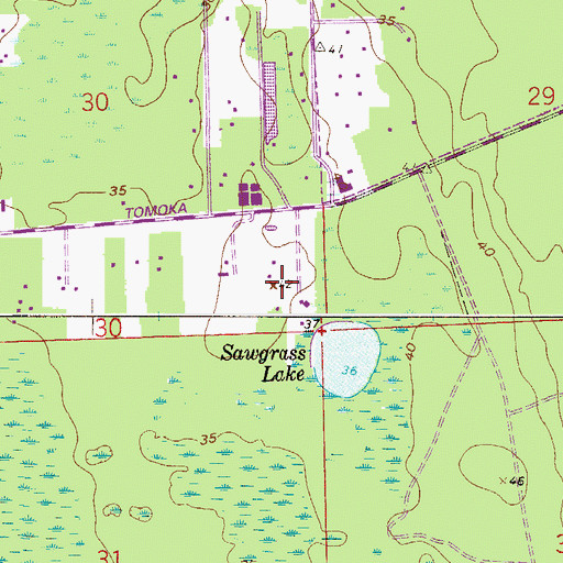 Topographic Map of Dan Rice Airport (historical), FL