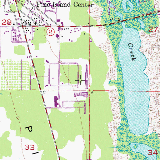 Topographic Map of Pine Island Helistop, FL
