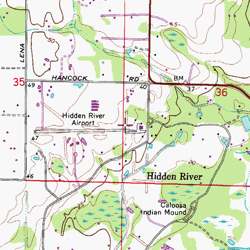 Topographic Map of Hidden River Airport, FL