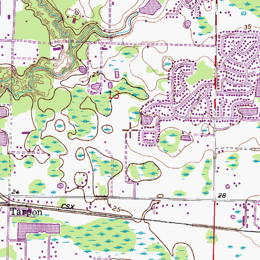 Topographic Map of Broady Airport (historical), FL