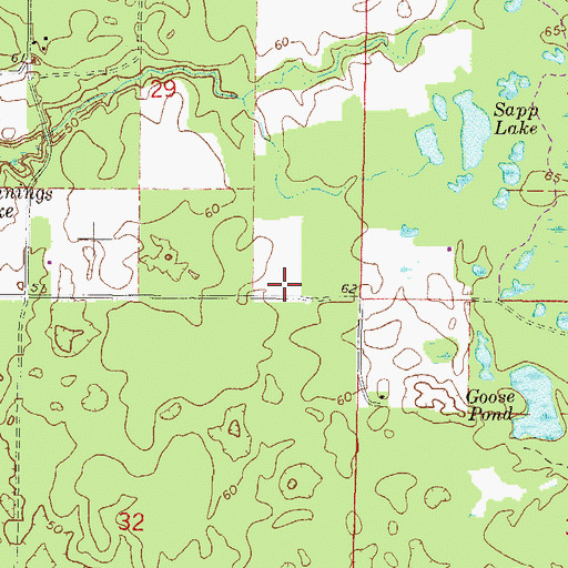 Topographic Map of Watson Flight Strip, FL