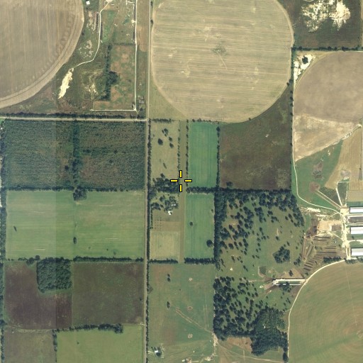 Aerial/Satellite Image of Ames Field, FL