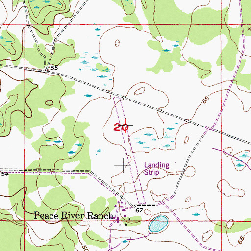 Topographic Map of Griffins Peace River Ranch Airport, FL