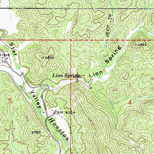 Topographic Map of Lion Spring, AZ