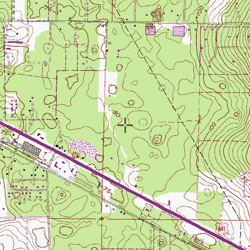 Topographic Map of WYOC-FM (High Springs), FL