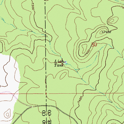 Topographic Map of Lion Tank, AZ