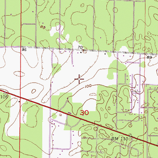 Topographic Map of WFEZ-FM (Williston), FL