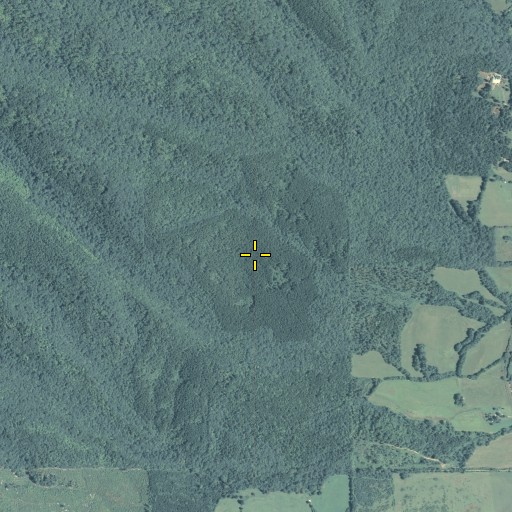 Aerial/Satellite Image of Cedar Creek, GA