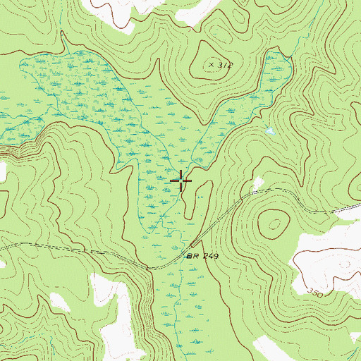 Topographic Map of Palmetto Branch, GA