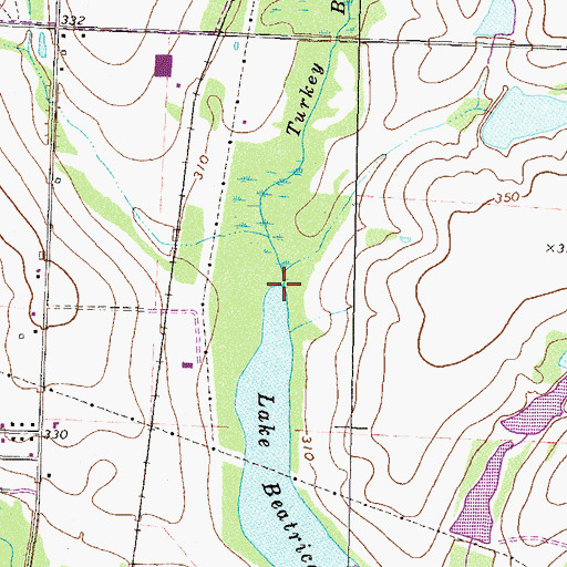 Topographic Map of Turkey Creek, GA