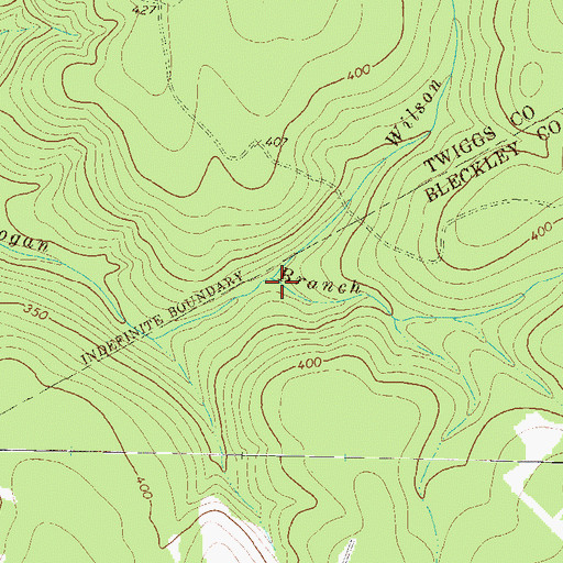 Topographic Map of Wilson Branch, GA