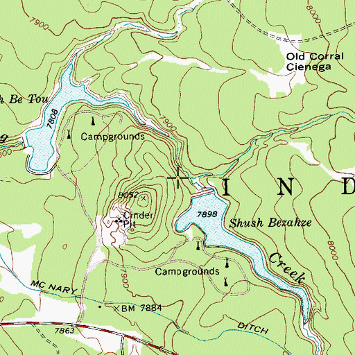 Topographic Map of Little Bog Creek, AZ