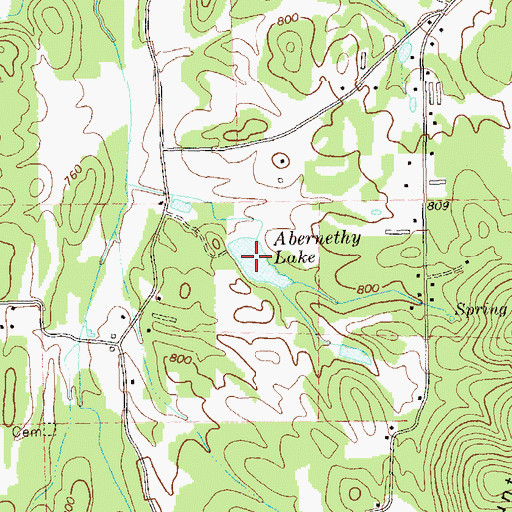 Topographic Map of Abernethy Lake, GA