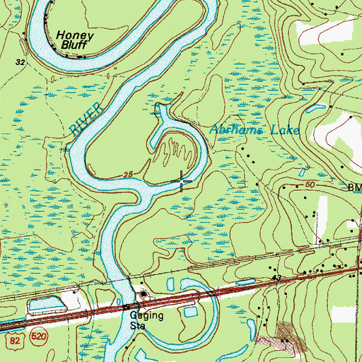 Topographic Map of Abrahams Lake, GA