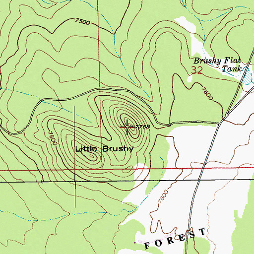 Topographic Map of Little Brushy, AZ