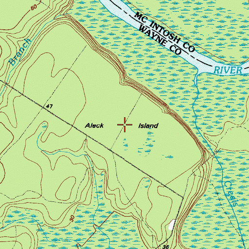 Topographic Map of Aleck Island, GA
