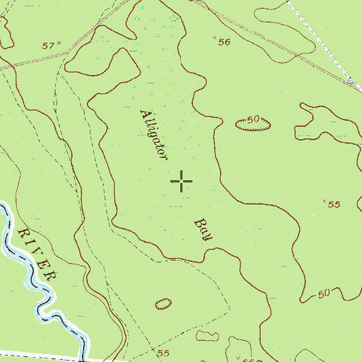 Topographic Map of Alligator Bay, GA