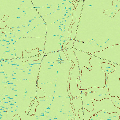 Topographic Map of Alligator Bays, GA