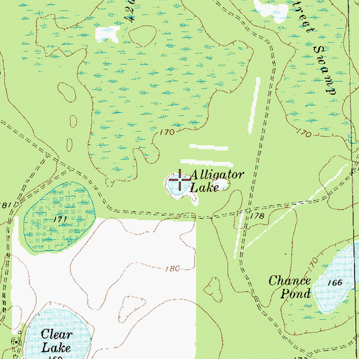 Topographic Map of Alligator Lake, GA
