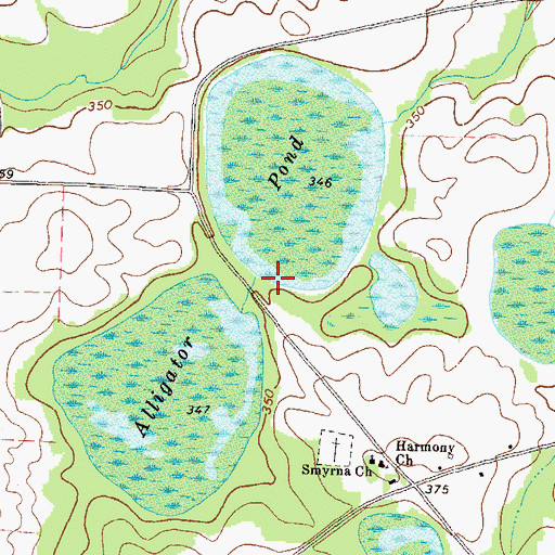 Topographic Map of Alligator Pond, GA