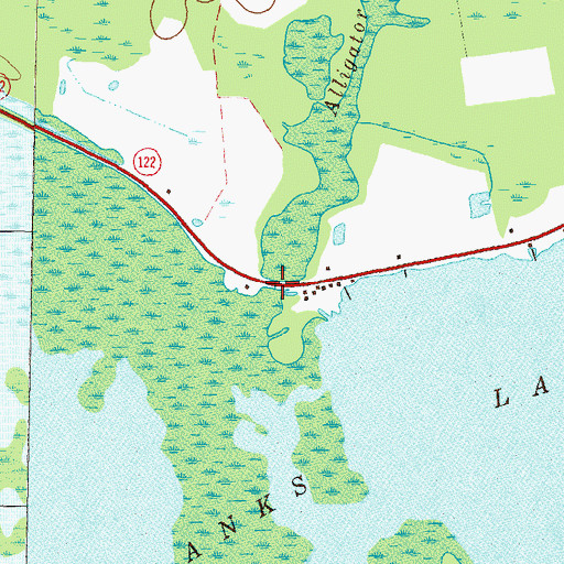 Topographic Map of Alligator Run, GA