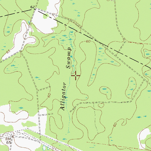 Topographic Map of Alligator Swamp, GA