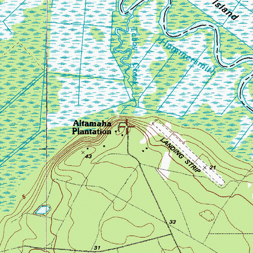 Topographic Map of Altamaha Plantation, GA