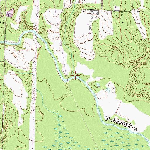 Topographic Map of Amason Branch, GA