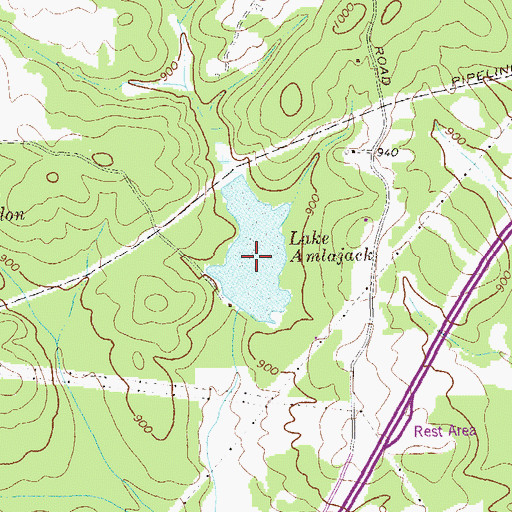 Topographic Map of Lake Amlajack, GA
