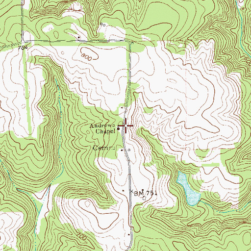 Topographic Map of Andrews Chapel, GA