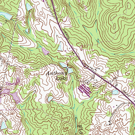 Topographic Map of Anthony Lake, GA