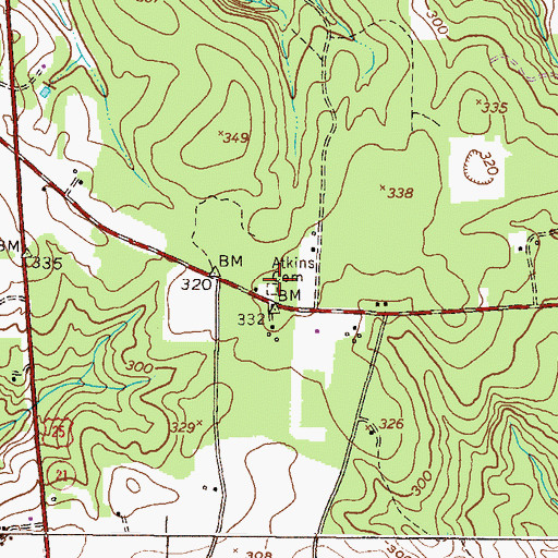 Topographic Map of Atkins Cemetery, GA