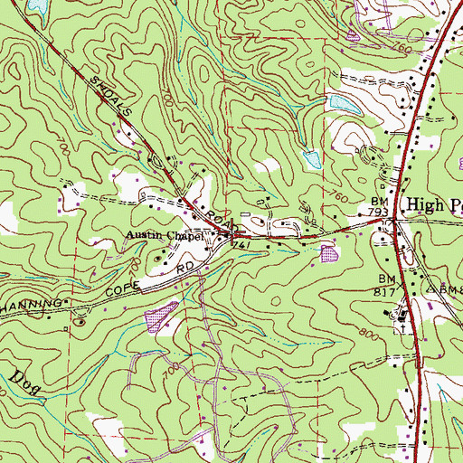 Topographic Map of Austin Chapel, GA