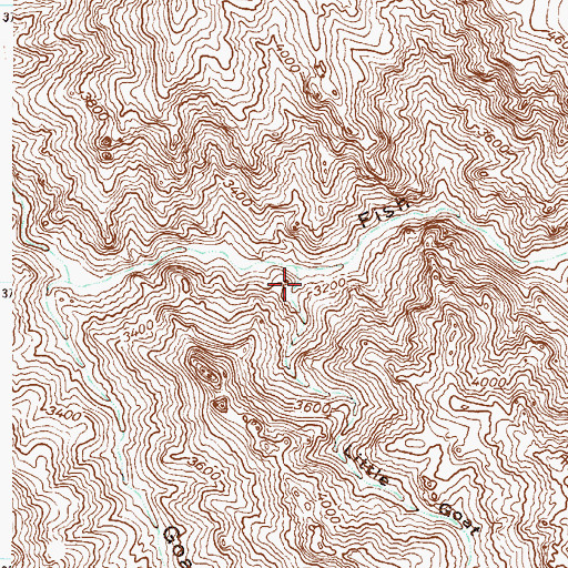 Topographic Map of Little Goat Canyon, AZ