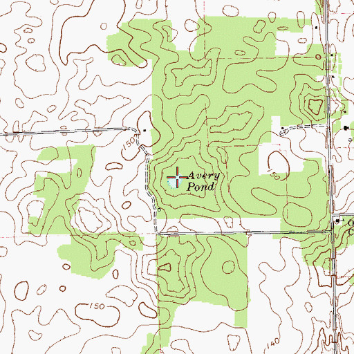 Topographic Map of Avery Pond, GA