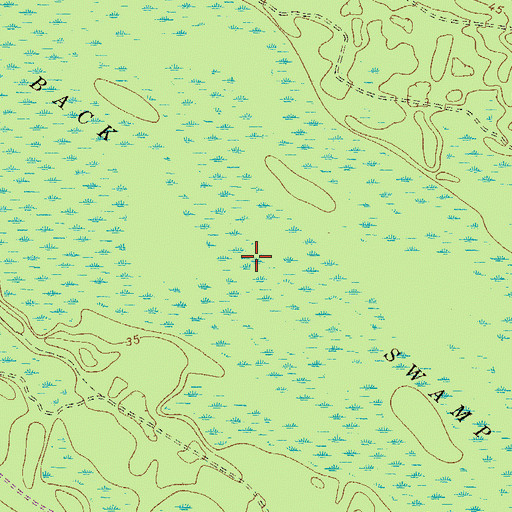 Topographic Map of Back Swamp, GA