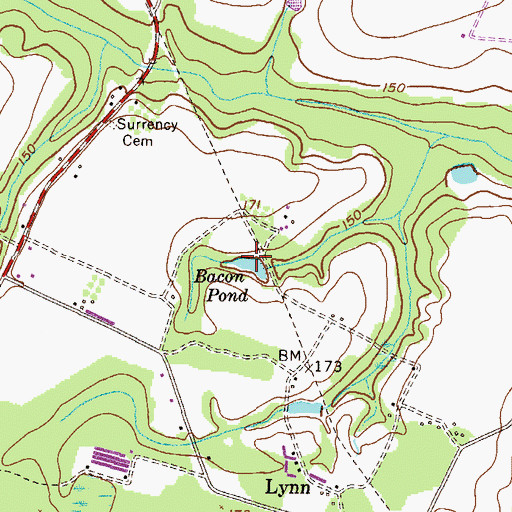 Topographic Map of Bacon Pond, GA