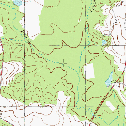 Topographic Map of Bad Prong, GA