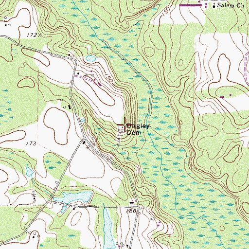 Topographic Map of Bagley Cemetery, GA